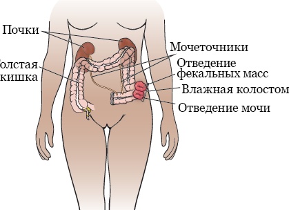 Готовить в кабине или ходить в кафе?что выбрать водителю дальнобойщику?